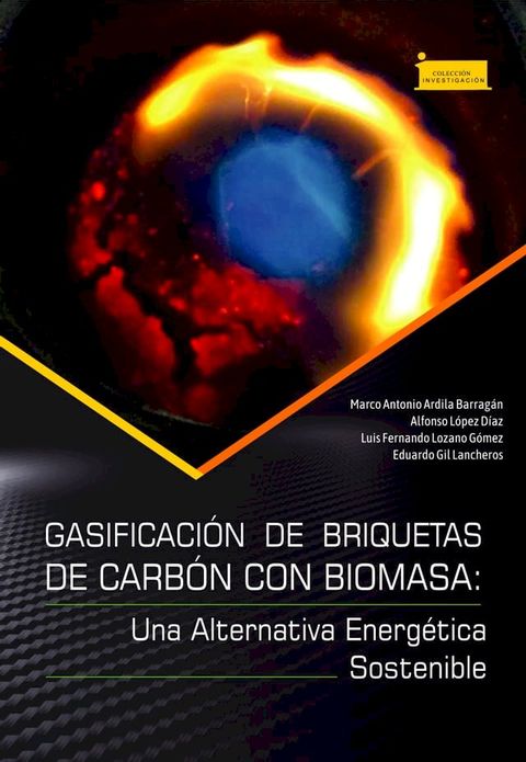 Gasificación de briquetas de carbón con biomasa:(Kobo/電子書)