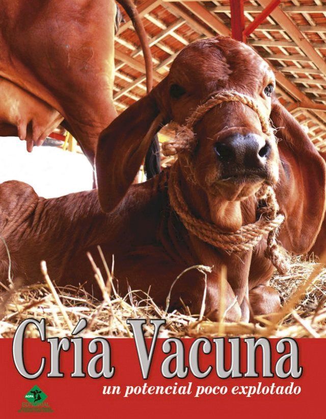  Cría vacuna, un potencial poco explorado(Kobo/電子書)