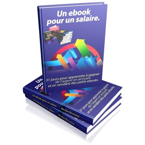 Ecrivez des rapports de moins de 15 pages et faîtes vous payés !(Kobo/電子書)