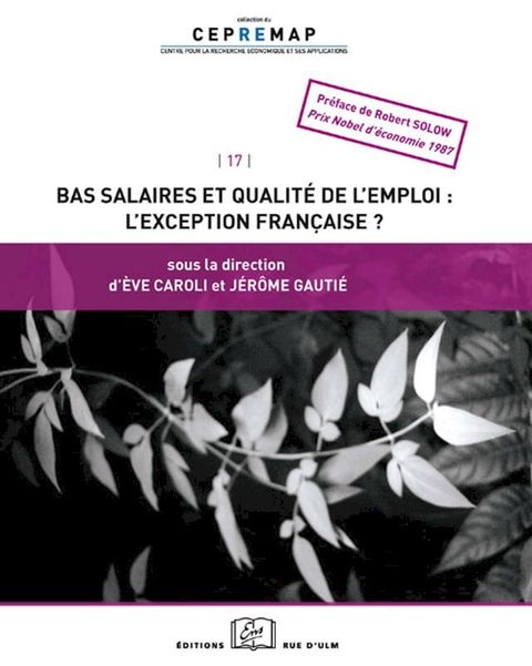 Bas salaires et qualit&eacute; de l'emploi : l'exception fran&ccedil;aise ?(Kobo/電子書)