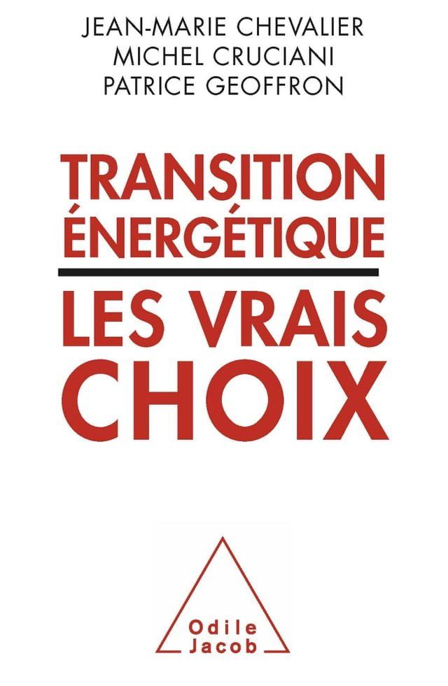  Transition énergétique : les vrais choix(Kobo/電子書)