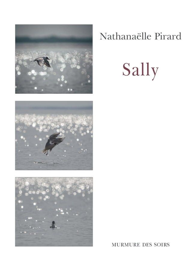  Sally(Kobo/電子書)