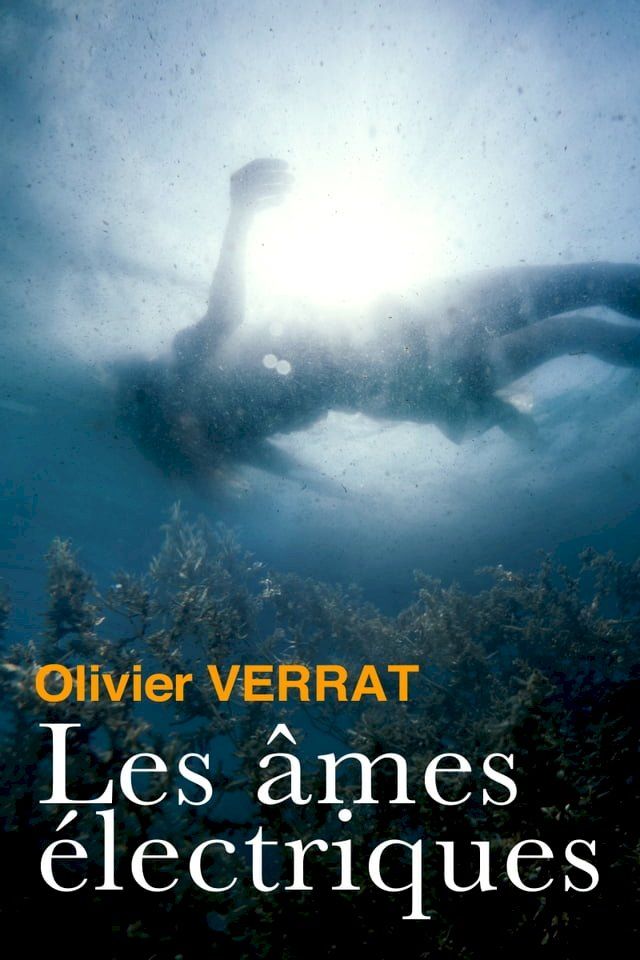  Les âmes électriques(Kobo/電子書)