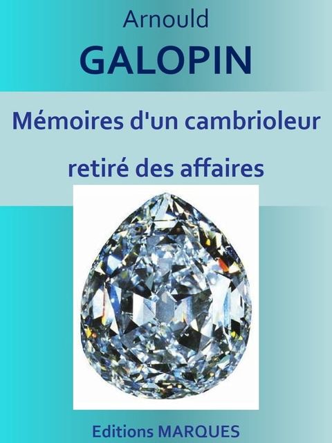 M&eacute;moires d'un cambrioleur retir&eacute; des affaires(Kobo/電子書)