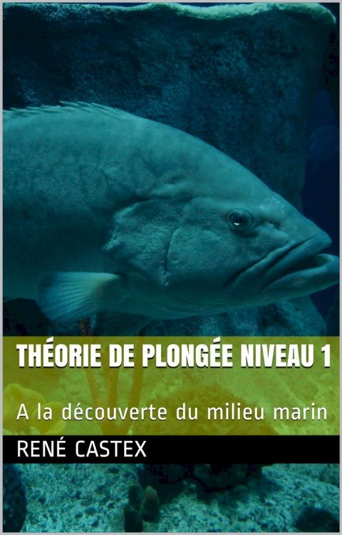 PLONGÉE NIVEAU 1(Kobo/電子書)