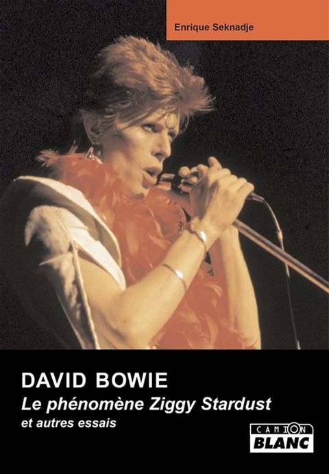 DAVID BOWIE(Kobo/電子書)