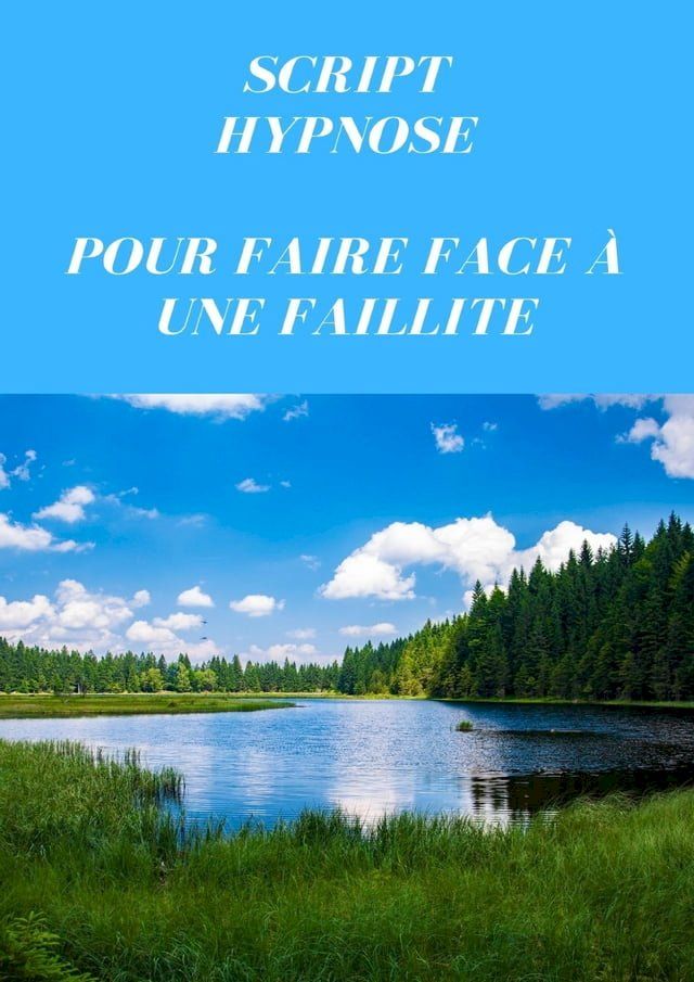  Script pour faire face &agrave; une faillite(Kobo/電子書)