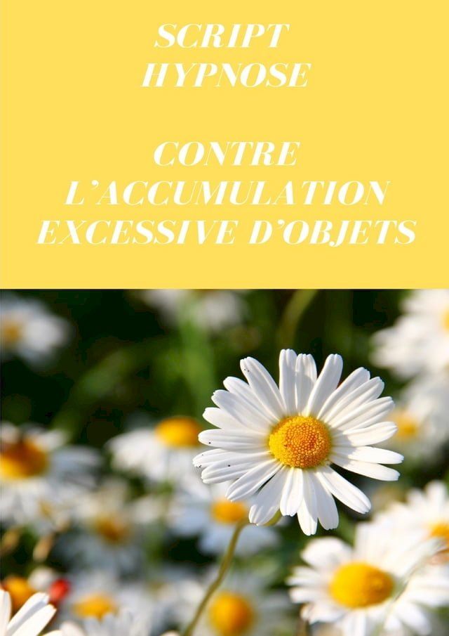  Script contre l’accumulation excessive d’objets(Kobo/電子書)