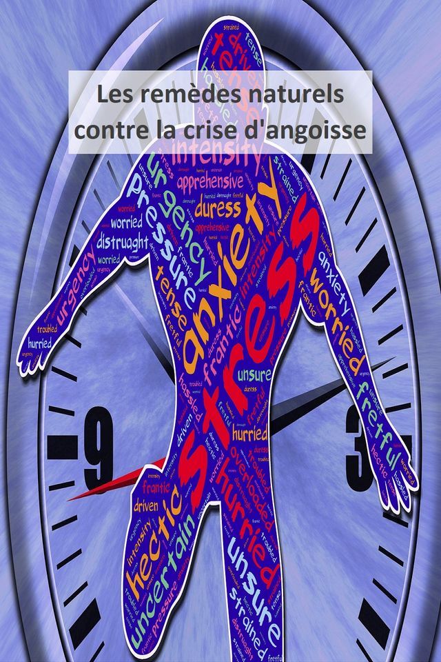  Les rem&egrave;des naturels contre la crise d'angoisse(Kobo/電子書)