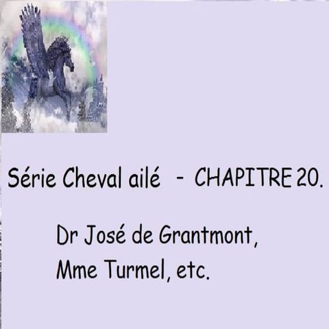 Chapitre 20 - Dr Jos&eacute; de Grantmont, Mme Turmel, etc.(Kobo/電子書)