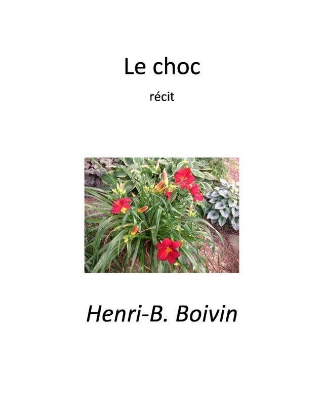  Le choc(Kobo/電子書)