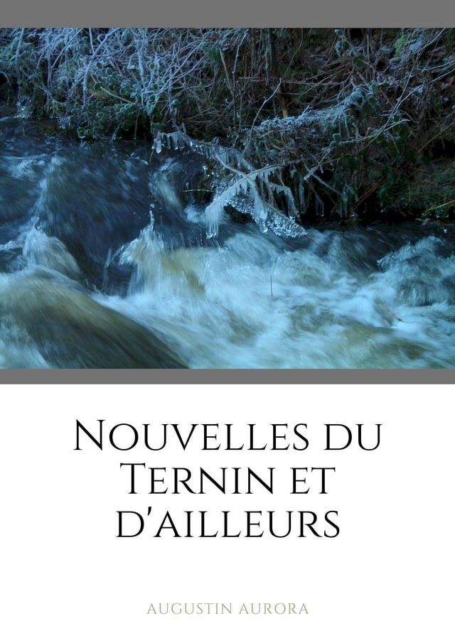  Nouvelles du Ternin et d'ailleurs(Kobo/電子書)