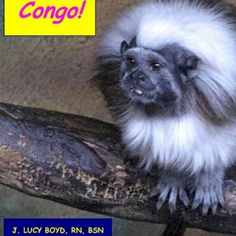 Congo!(Kobo/電子書)