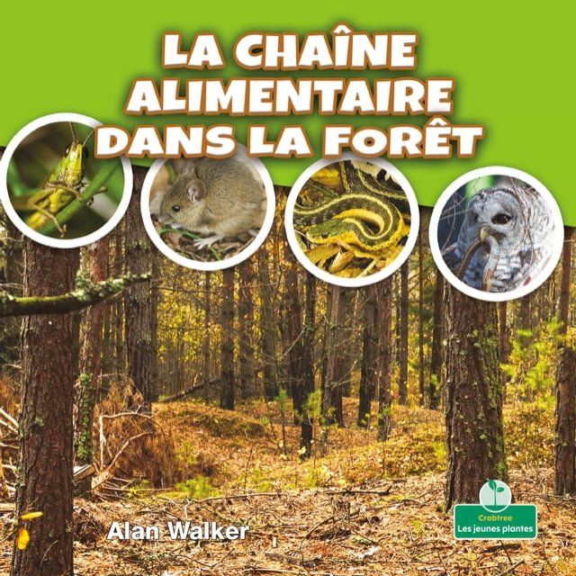  La chaîne alimentaire dans la forêt (Food Chain in a Forest)(Kobo/電子書)