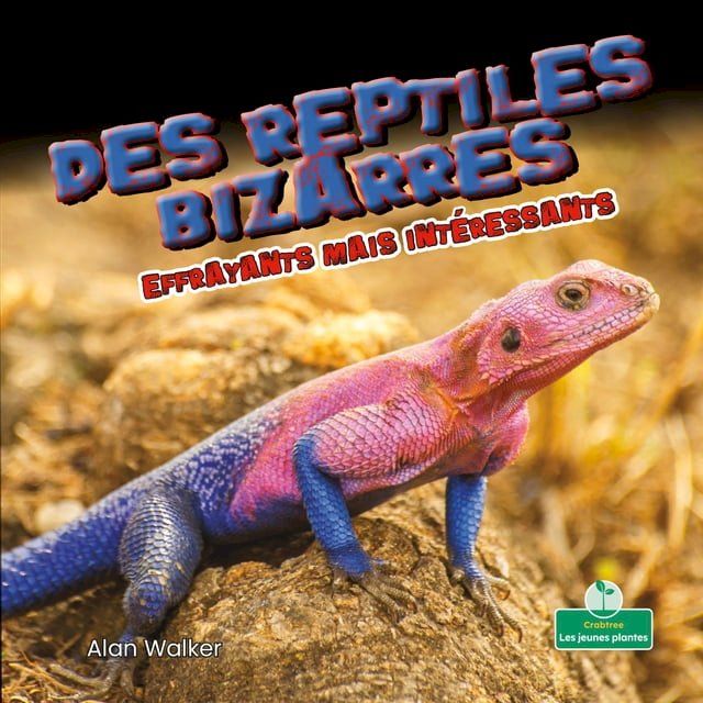  Des reptiles bizarres effrayants mais intéressants (Creepy But Cool Weird Reptiles)(Kobo/電子書)