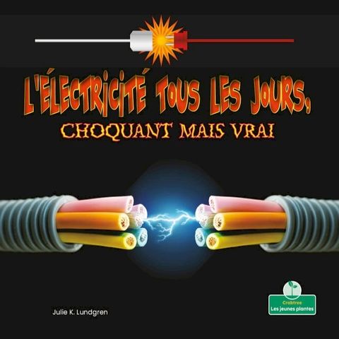 L'&eacute;lectricit&eacute; tous les jours, choquant mais vrai (Everyday Electricity, Shocking But True)(Kobo/電子書)