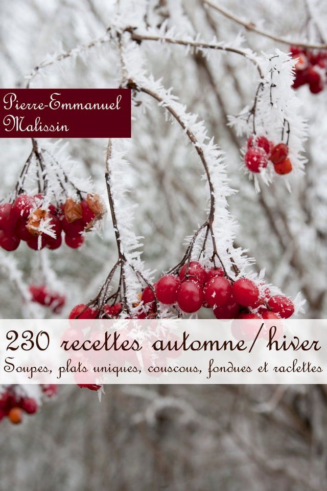  230 recettes automne/hiver (Soupes, plats uniques, couscous, fondues et raclettes(Kobo/電子書)