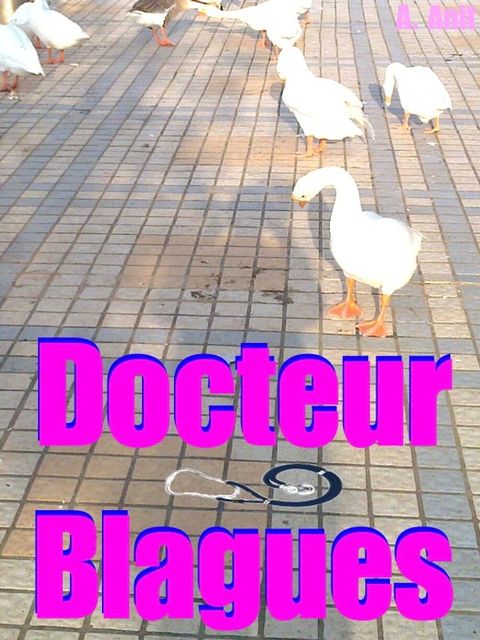 Docteur Blagues(Kobo/電子書)