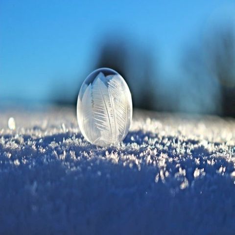 Bien vivre l'hiver au naturel(Kobo/電子書)