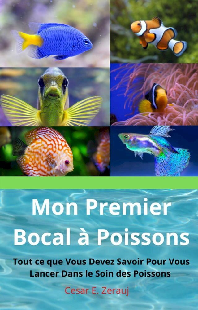  Mon Premier Bocal &agrave; Poissons Tout ce que Vous Devez Savoir Pour Vous Lancer Dans le Soin des Poissons(Kobo/電子書)