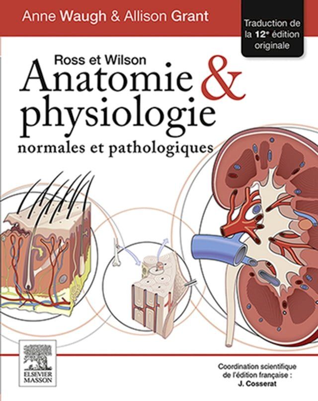  Ross et Wilson. Anatomie et physiologie normales et pathologiques(Kobo/電子書)