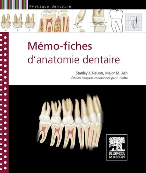 Mémo-fiches d'anatomie dentaire(Kobo/電子書)