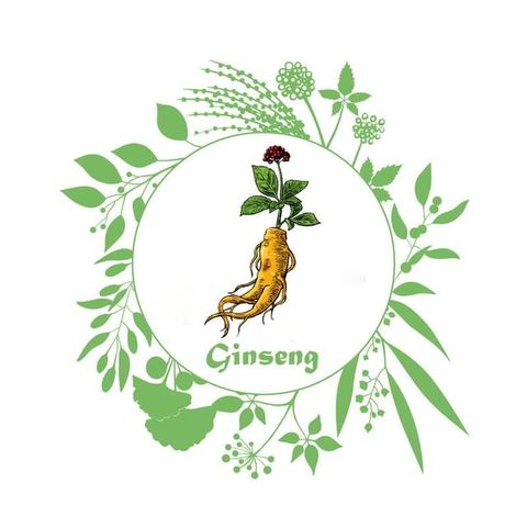 LE GINSENG ET SES VERTUS(Kobo/電子書)