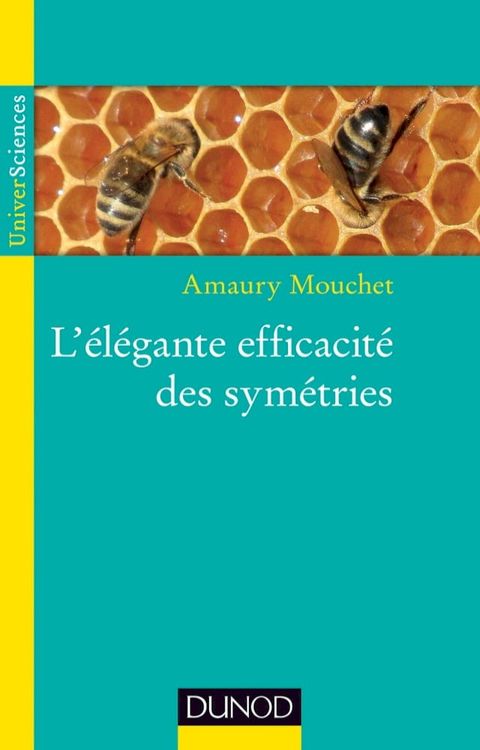 L'&eacute;l&eacute;gante efficacit&eacute; des sym&eacute;tries(Kobo/電子書)