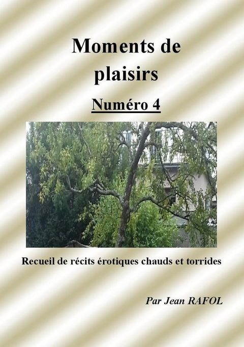 Moments de plaisirs n°4(Kobo/電子書)