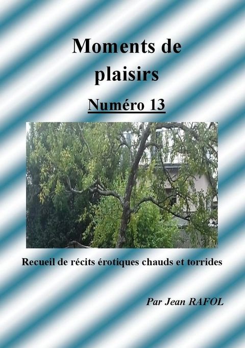 Moments de plaisirs n°13(Kobo/電子書)