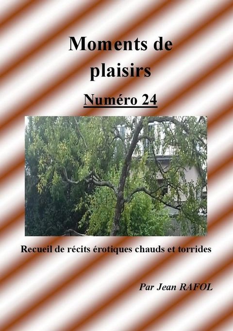 Moments de plaisirs n°24(Kobo/電子書)