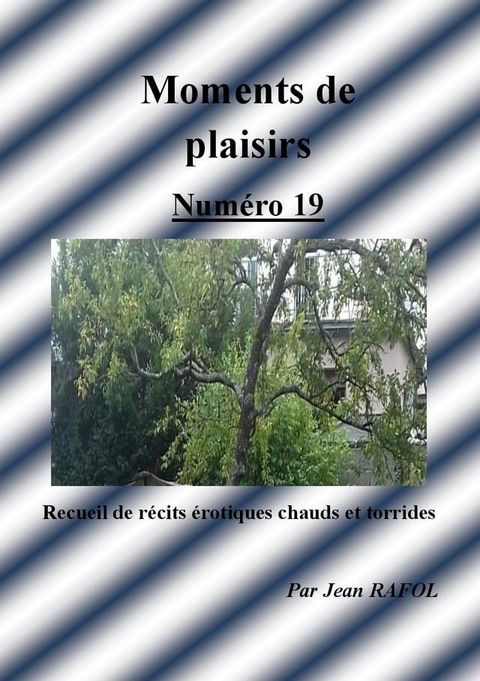 Moments de plaisirs n°19(Kobo/電子書)