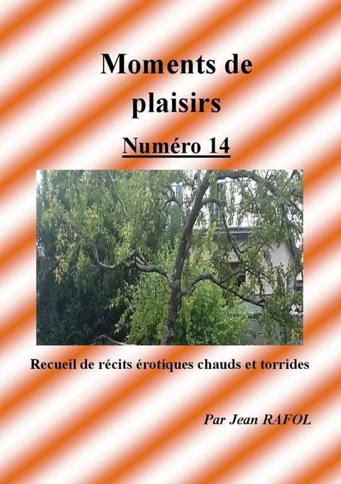 Moments de plaisirs n°14(Kobo/電子書)