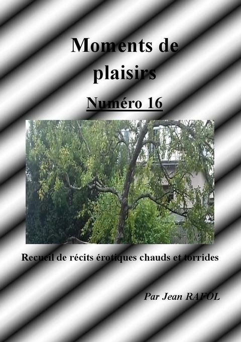 Moments de plaisirs n°16(Kobo/電子書)