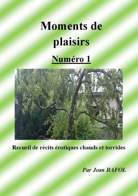 Moments de plaisirs n°1(Kobo/電子書)