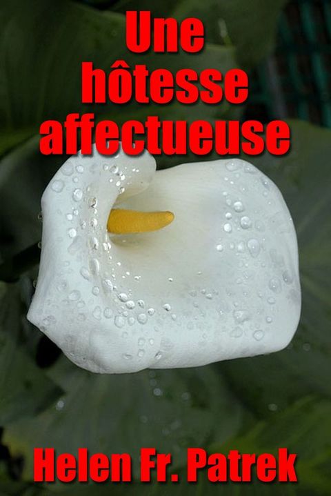 Une hôtesse affectueuse(Kobo/電子書)