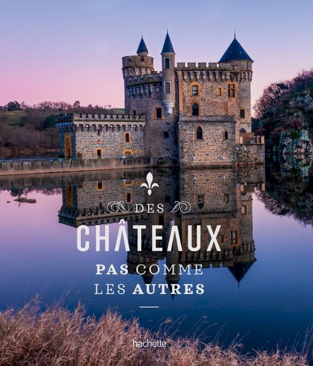  Des ch&acirc;teaux pas comme les autres(Kobo/電子書)