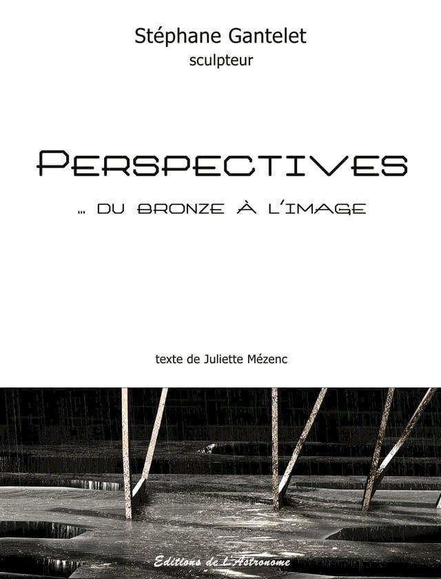  Perspectives... du bronze &agrave; l'image(Kobo/電子書)