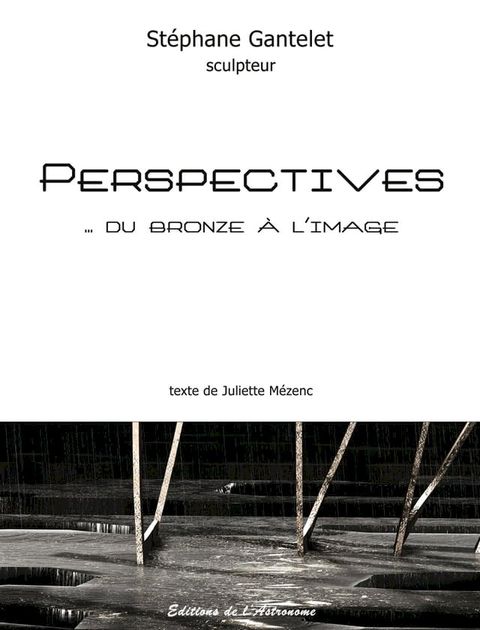 Perspectives... du bronze &agrave; l'image(Kobo/電子書)