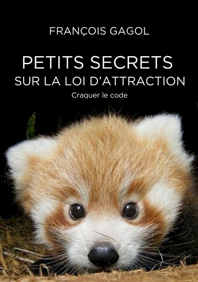  Petits secrets sur la loi d’attraction. Craquer le code(Kobo/電子書)