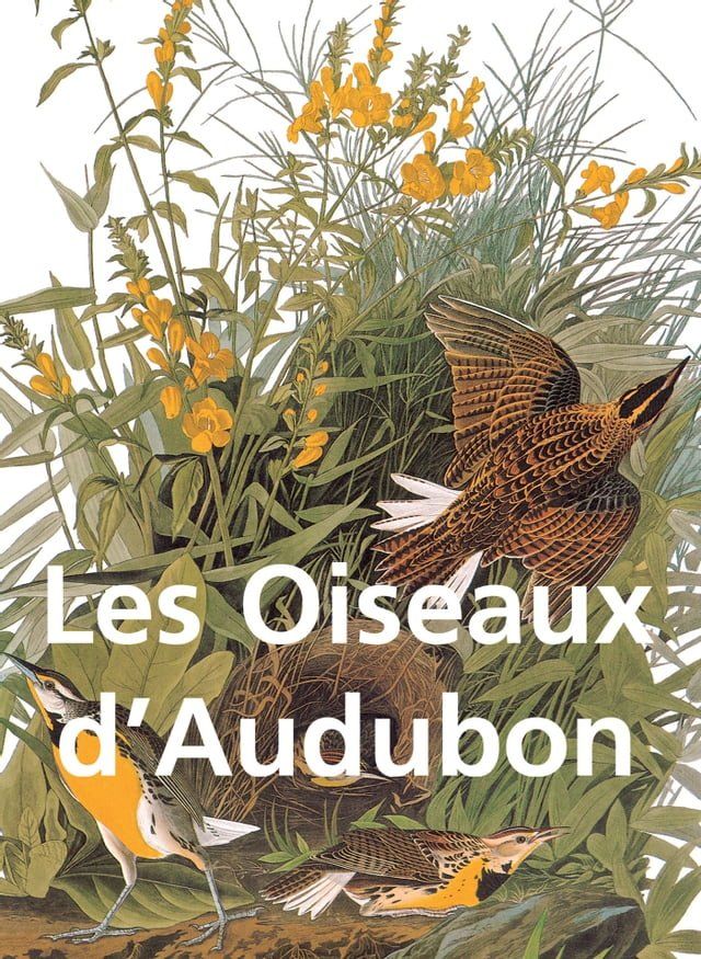  Les Oiseaux d'Audubon(Kobo/電子書)