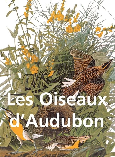 Les Oiseaux d'Audubon(Kobo/電子書)