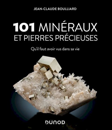 101 minéraux et pierres précieuses(Kobo/電子書)