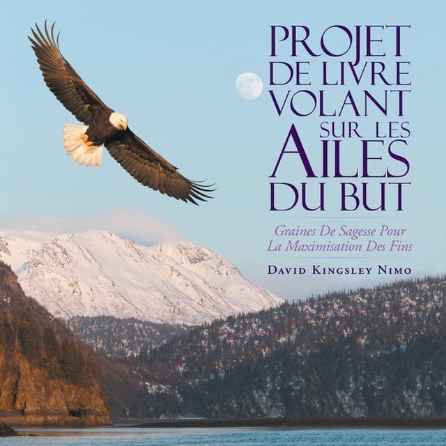  Projet De Livre Volant Sur Les Ailes Du But(Kobo/電子書)