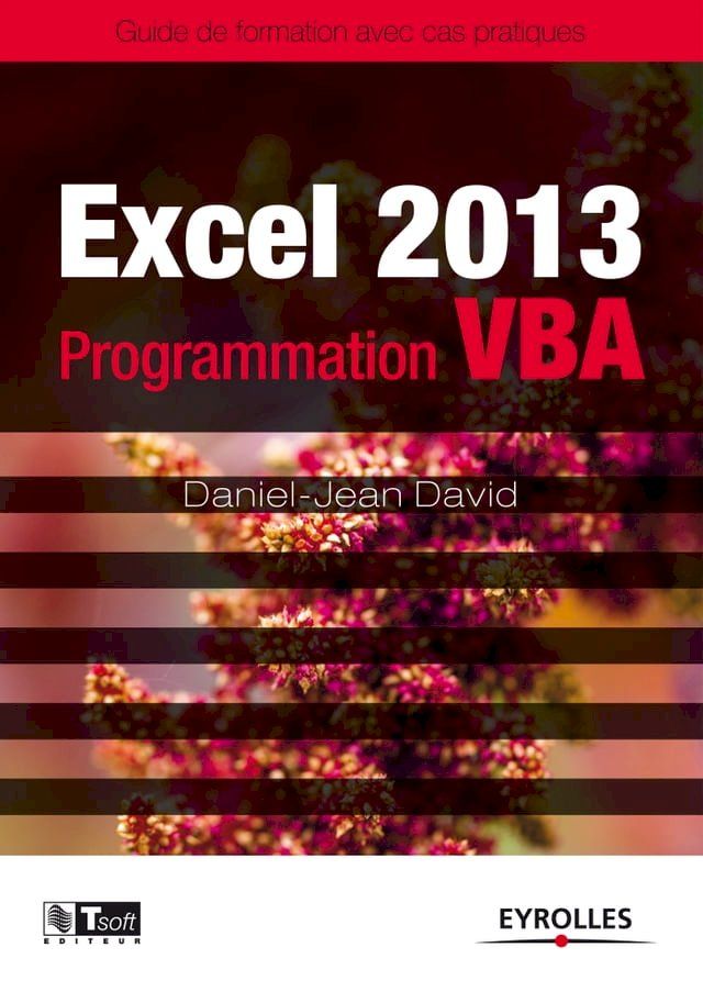  Excel 2013 - Programmation VBA(Kobo/電子書)