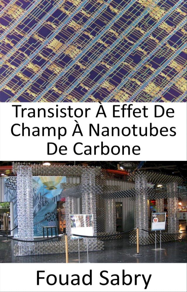  Transistor &Agrave; Effet De Champ &Agrave; Nanotubes De Carbone(Kobo/電子書)