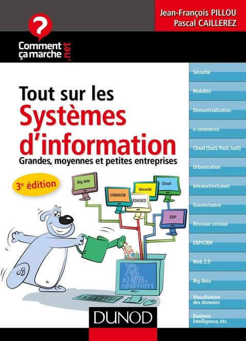 Tout sur les syst&egrave;mes d'information - 3e &eacute;dition(Kobo/電子書)