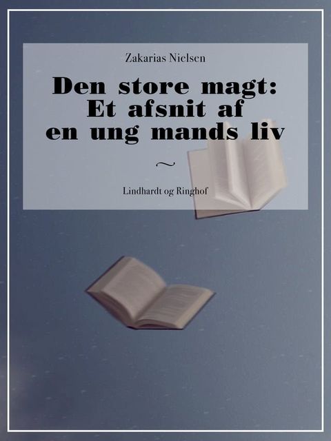 Den store magt: Et afsnit af en ung mands liv(Kobo/電子書)