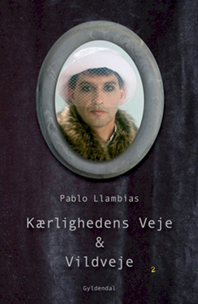  Kærlighedens veje & vildveje(Kobo/電子書)