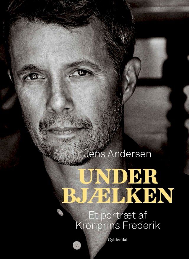  Under bj&aelig;lken(Kobo/電子書)